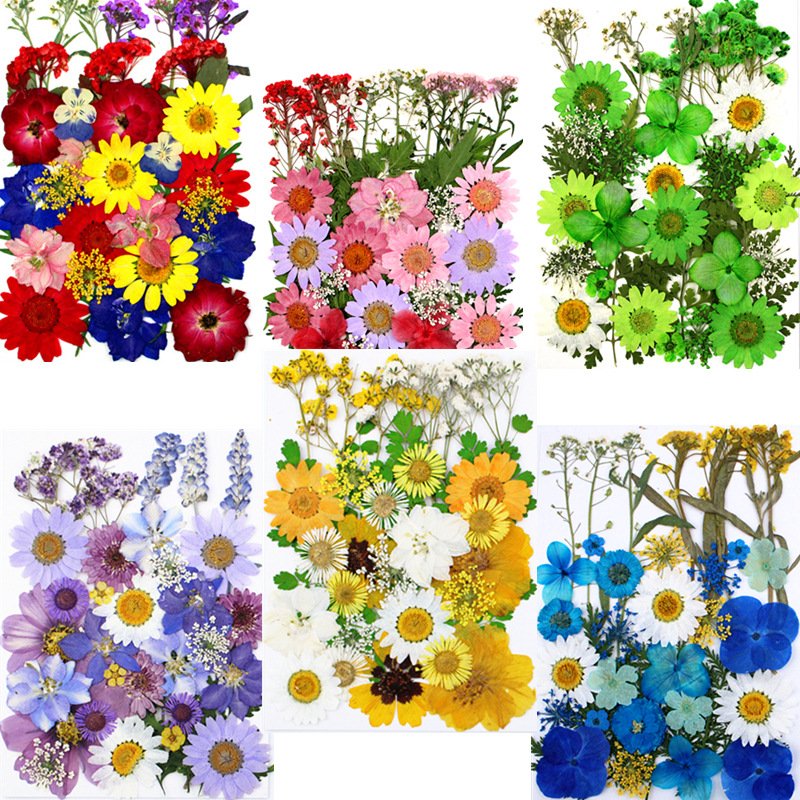 Yunnan wholesale natural real pressed flowers dried flowers for diy decorations