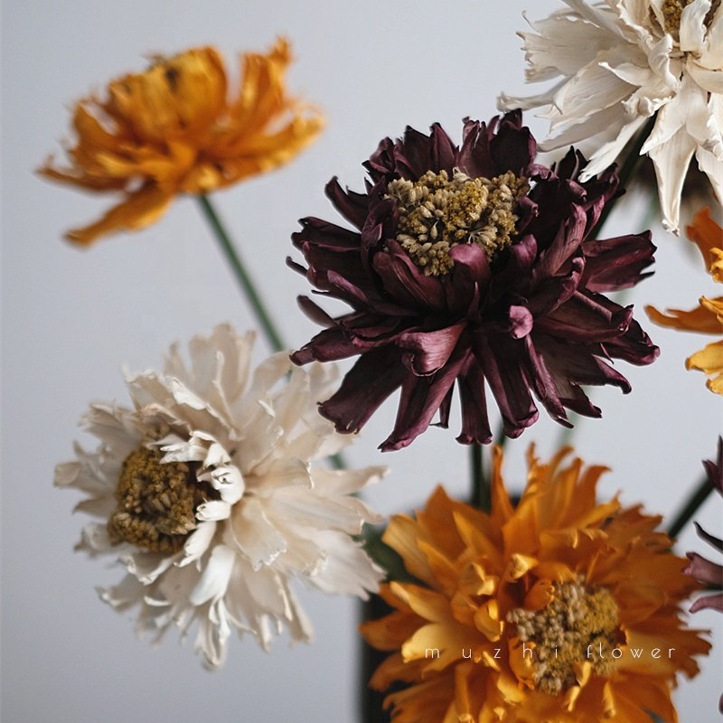 High Quality Home Decoration Handmade Preserved Big Peony Dried Flowers for Christmas New Year Parties and Weddings in Hotels