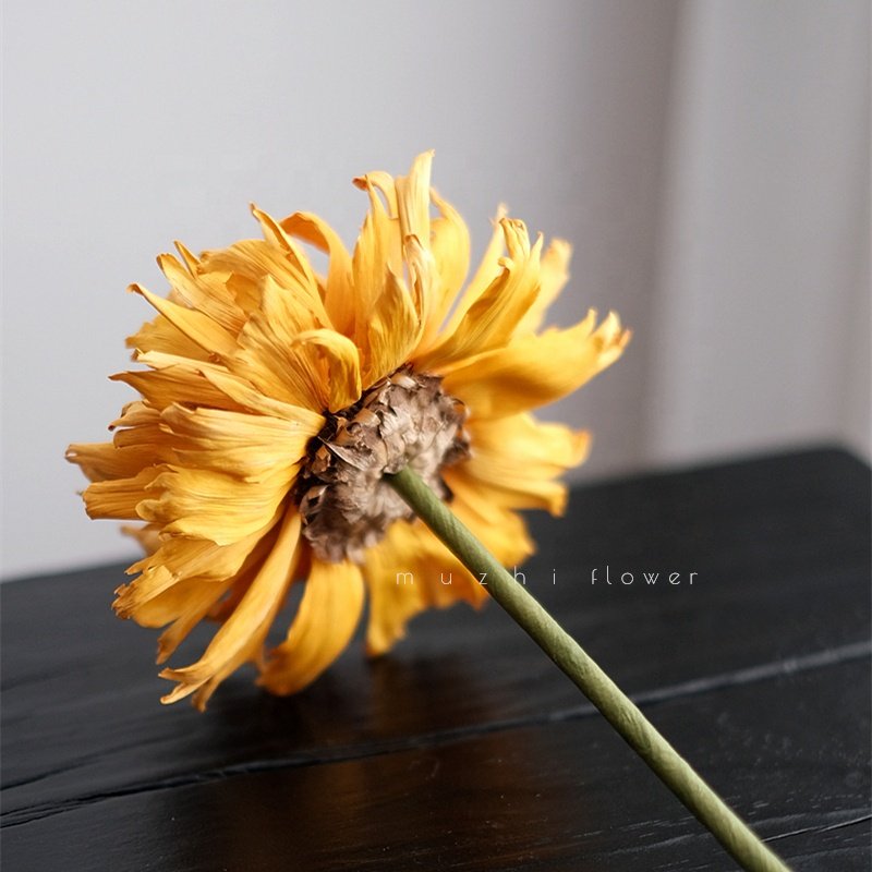 High Quality Home Decoration Handmade Preserved Big Peony Dried Flowers for Christmas New Year Parties and Weddings in Hotels