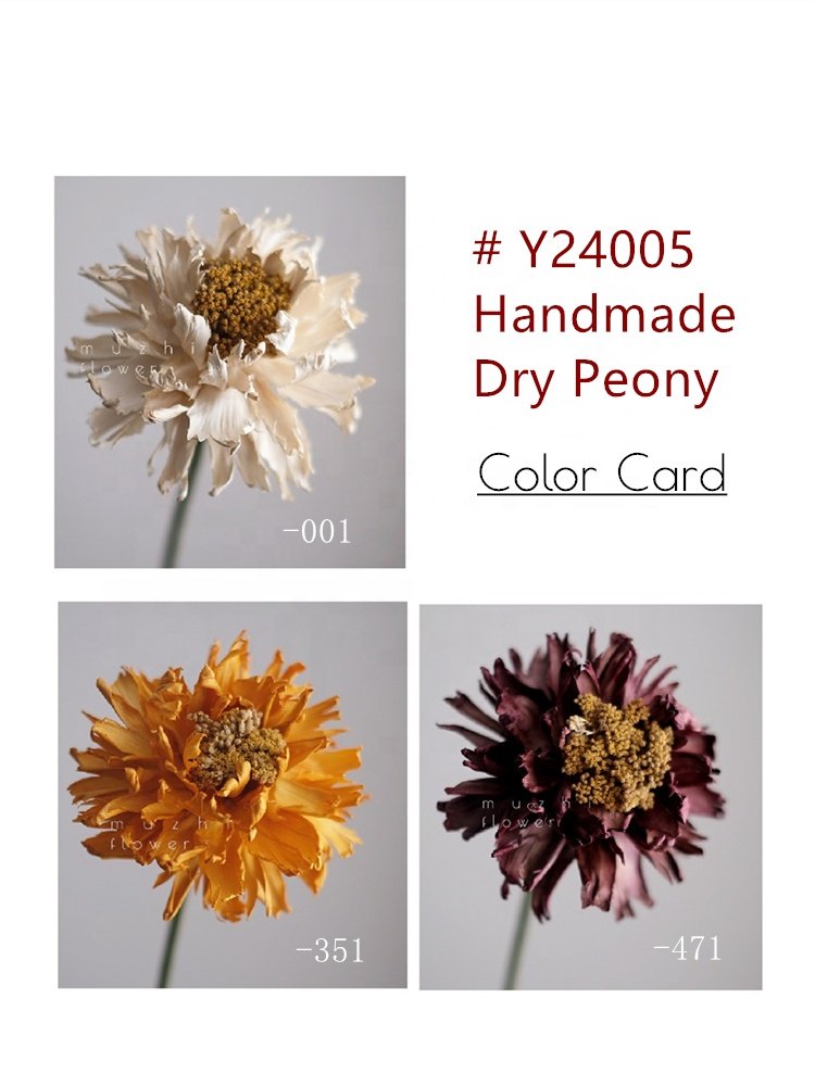 High Quality Home Decoration Handmade Preserved Big Peony Dried Flowers for Christmas New Year Parties and Weddings in Hotels