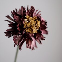 471