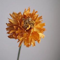 351