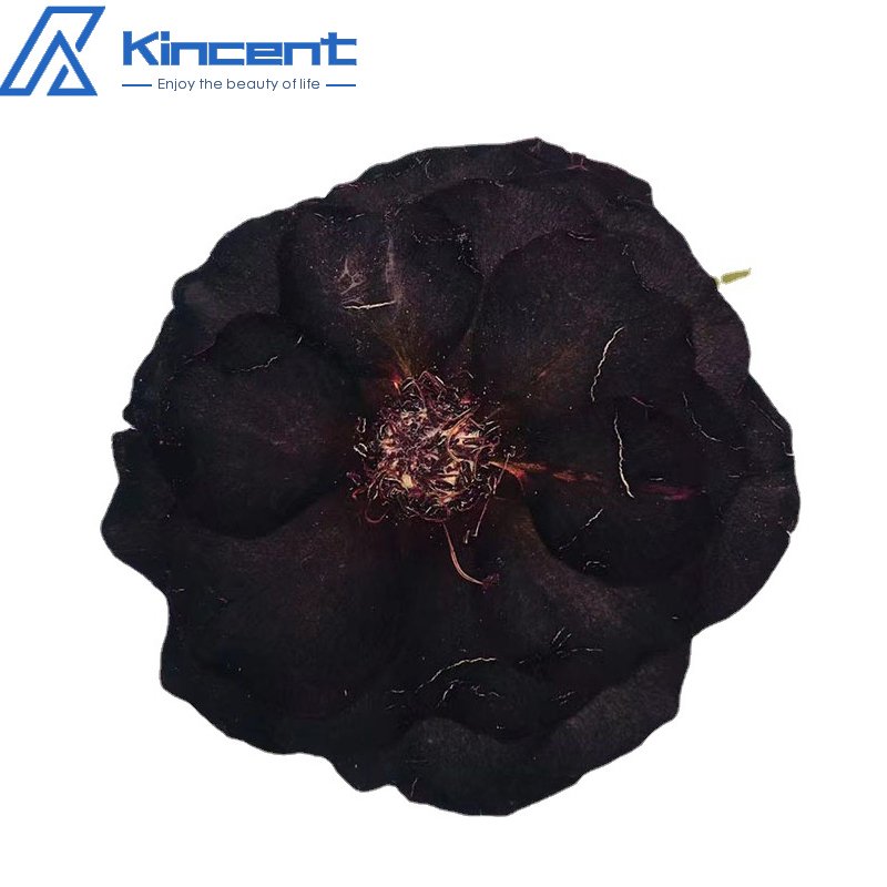 12PCS Wholesale Black Rose Embossed Dried Flower Sticker Decoration DIY Cultural Creative Material Handmade DIY Materials