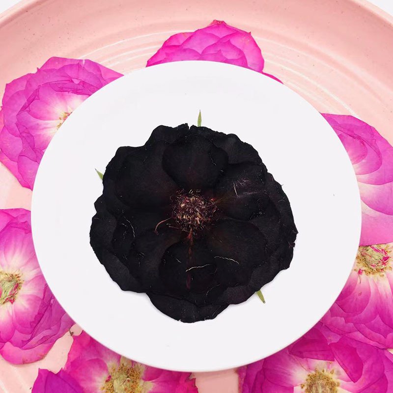 12PCS Wholesale Black Rose Embossed Dried Flower Sticker Decoration DIY Cultural Creative Material Handmade DIY Materials