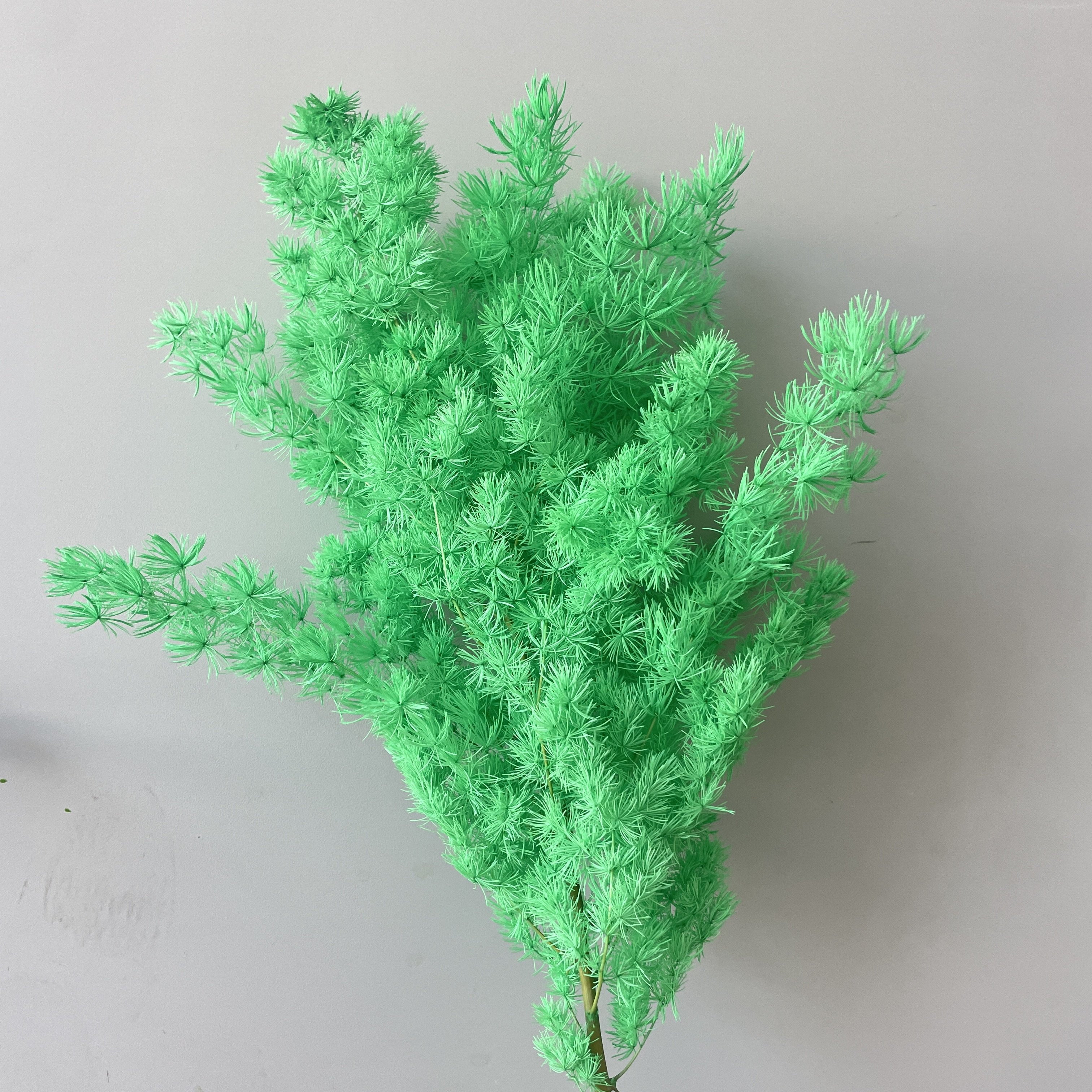 Penglai Pine Eternal Flower Dry Flower Soft Natural Preserved Plants Decoration Home Decoration Wedding Decoration