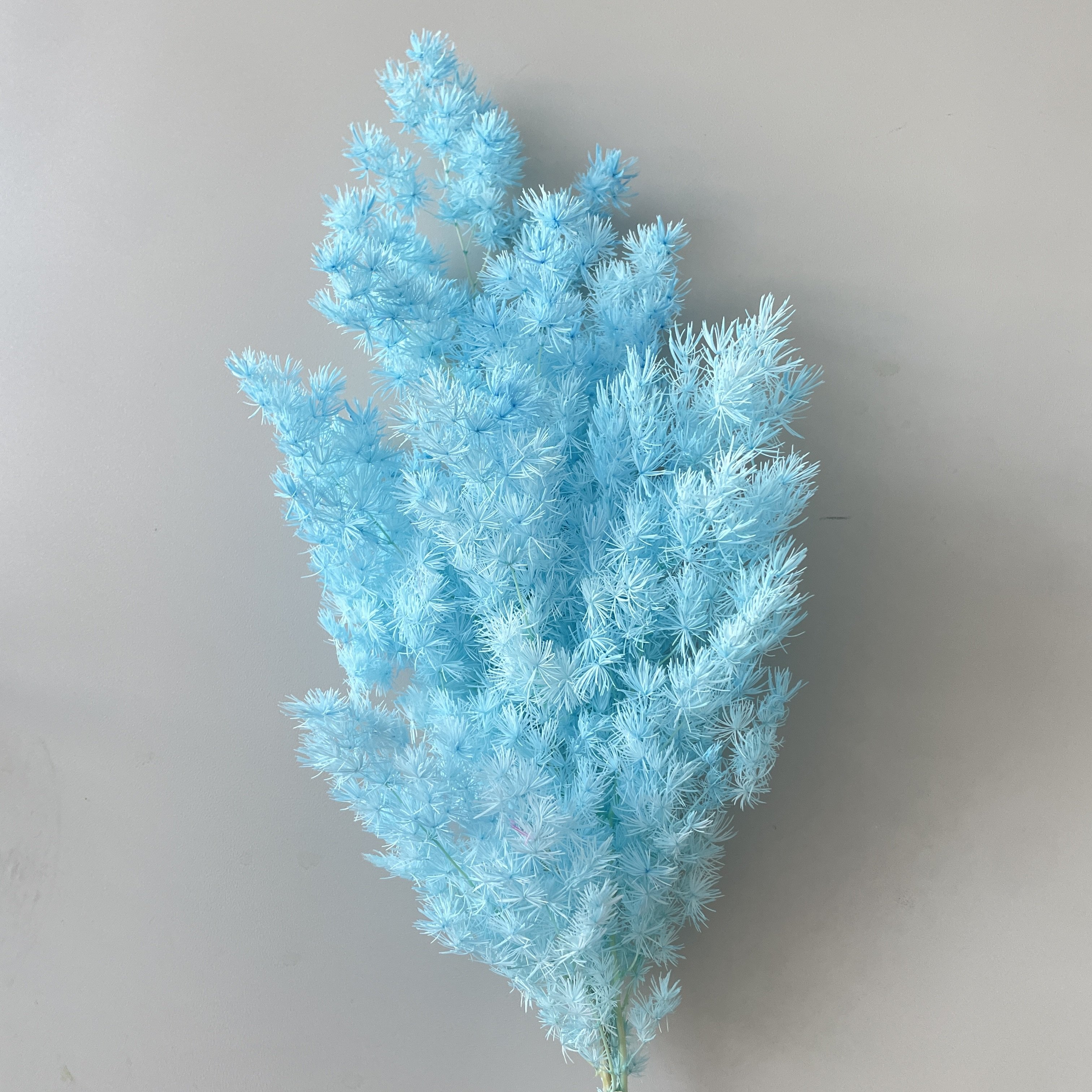 Penglai Pine Eternal Flower Dry Flower Soft Natural Preserved Plants Decoration Home Decoration Wedding Decoration