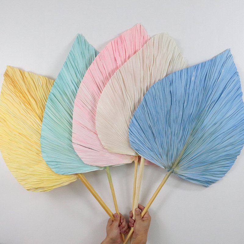 Colorful Flowers Natural Decorative Pink Fan White Floral Dried Palm Leaves