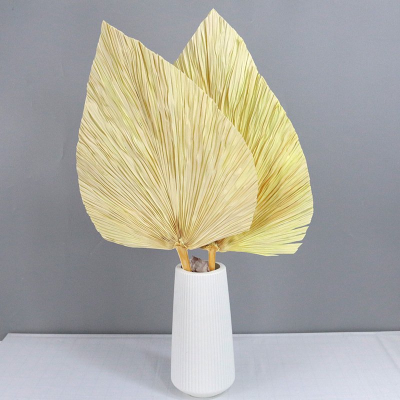 Colorful Flowers Natural Decorative Pink Fan White Floral Dried Palm Leaves