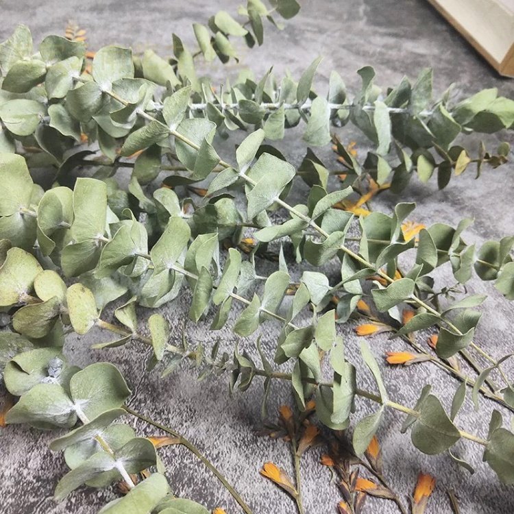 Flower of Low Price Bundle Dried Natural Grade 100% Natural Real Natural Flower,natural Eucalyptus Easter Egg Grass 40-60 Cm
