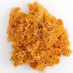 Moss-orange