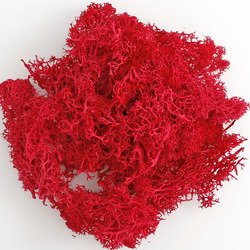 Moss-red