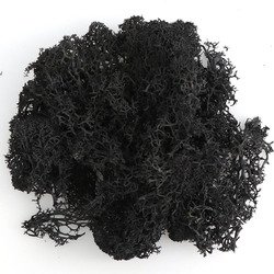 Moss-black
