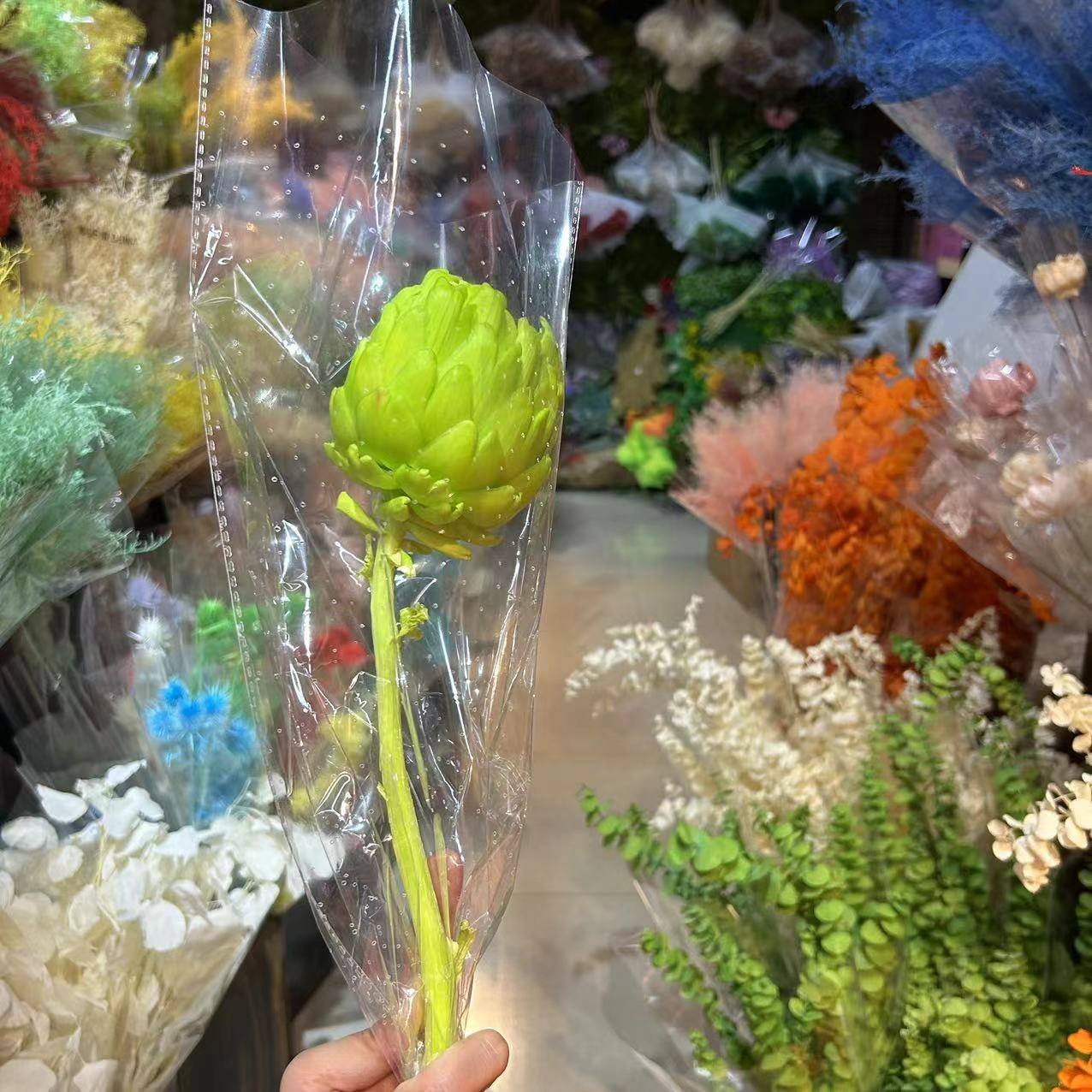 PPF02 Artichoke 2024 the hot selling flower dried artichoke for wedding/home decoration for home decor luxury