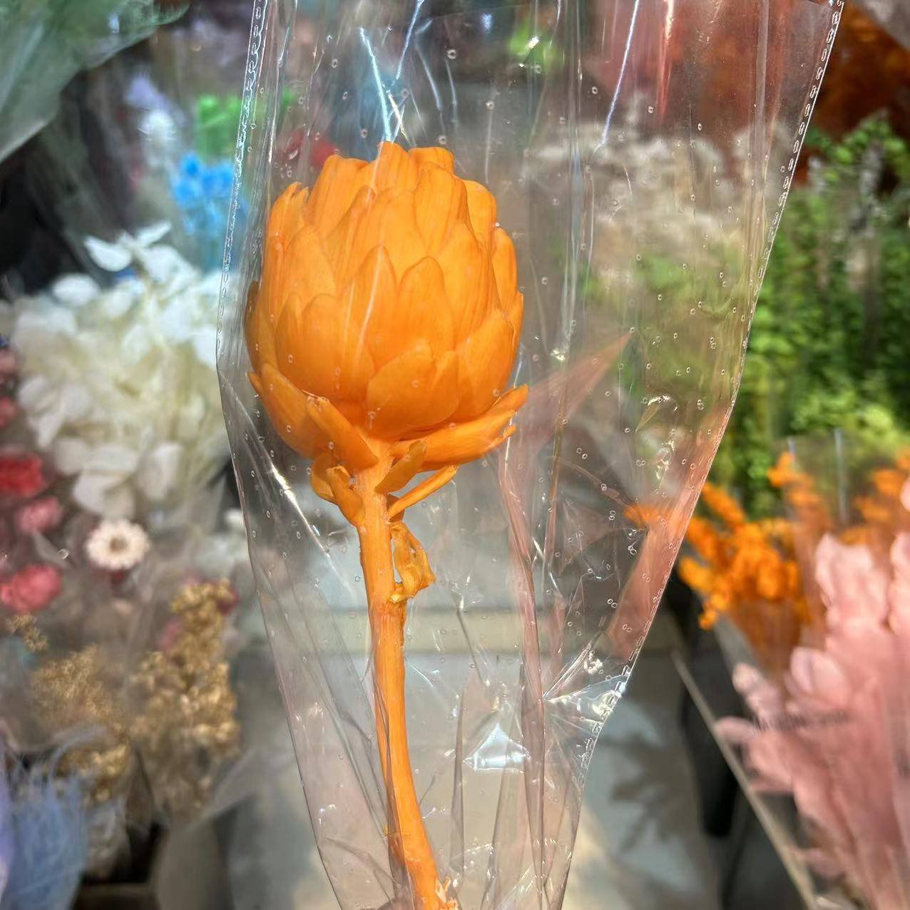 PPF02 Artichoke 2024 the hot selling flower dried artichoke for wedding/home decoration for home decor luxury