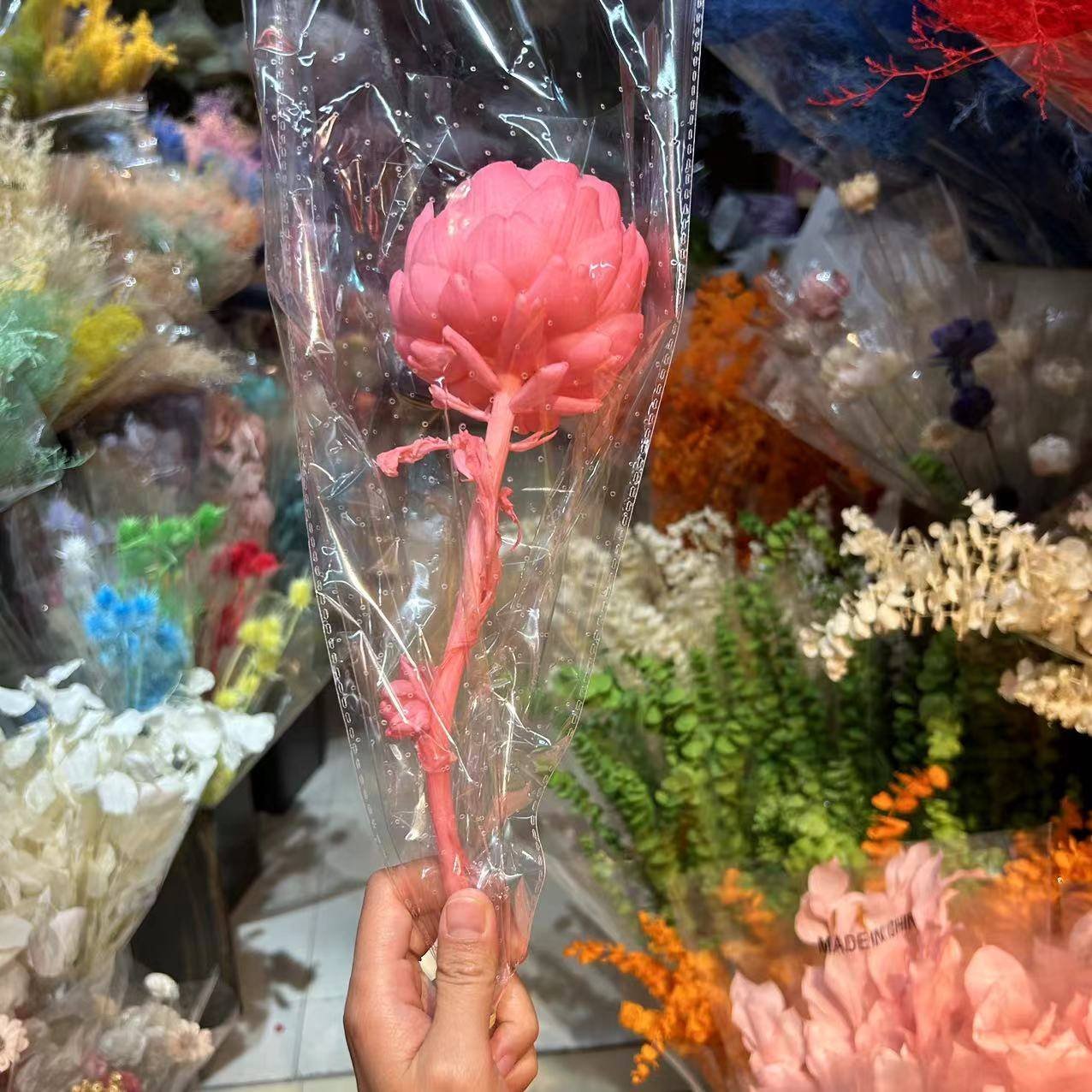 PPF02 Artichoke 2024 the hot selling flower dried artichoke for wedding/home decoration for home decor luxury
