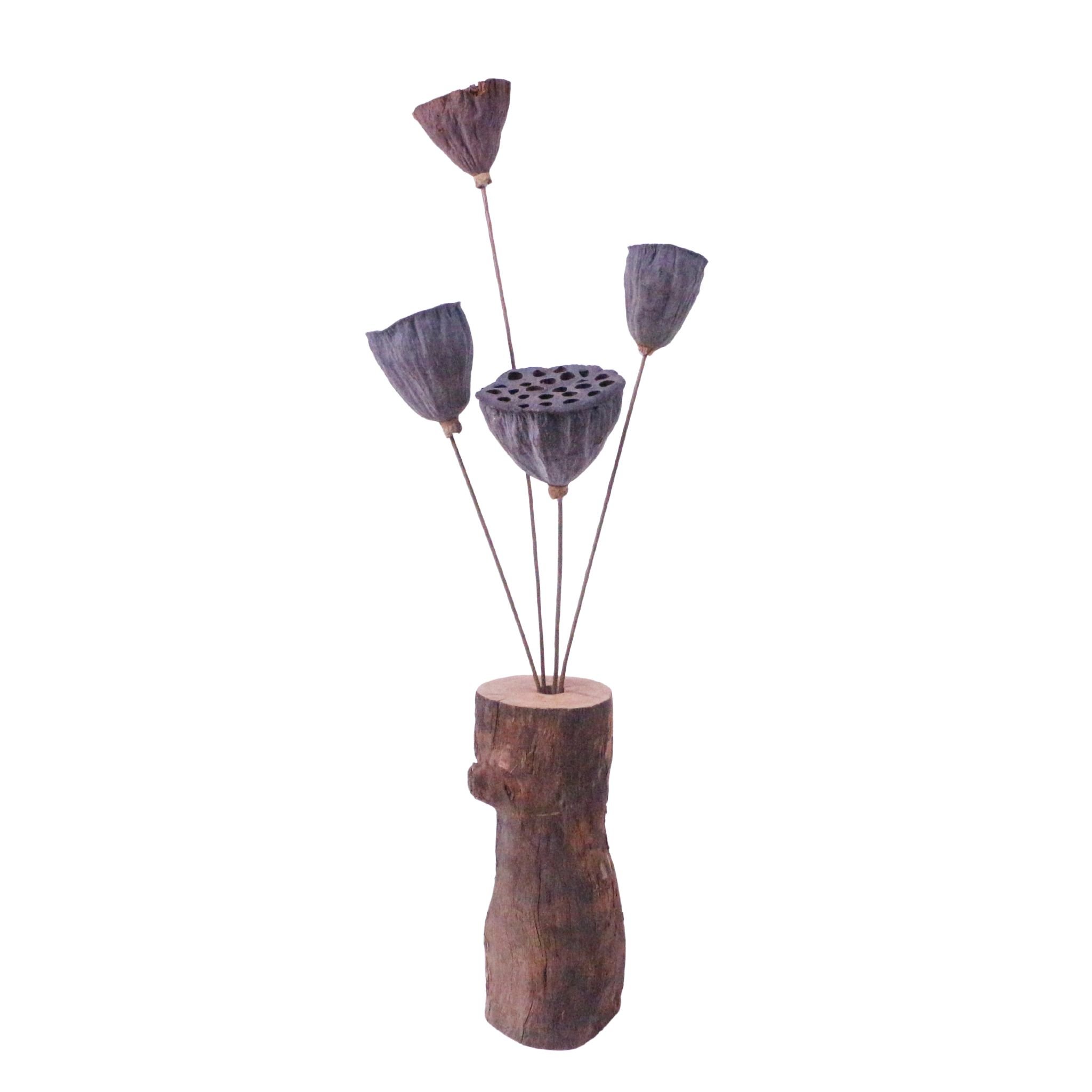 Higher qualityNelumbo nucifera Pure natural dried flowers Nelumbo nucifera for home decoration