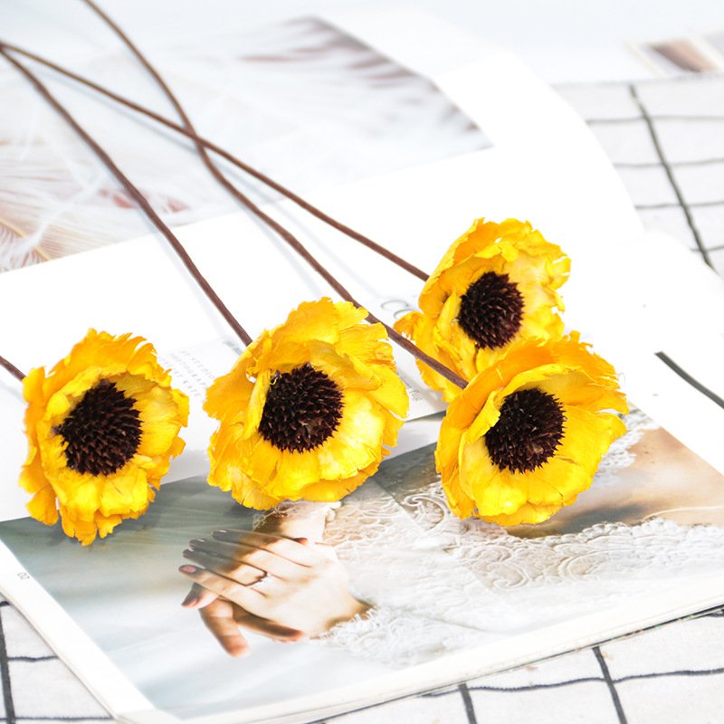 DIY Poppy Dried Flowers Cozy Home Ornament Decorative Dried Flower Bouquet