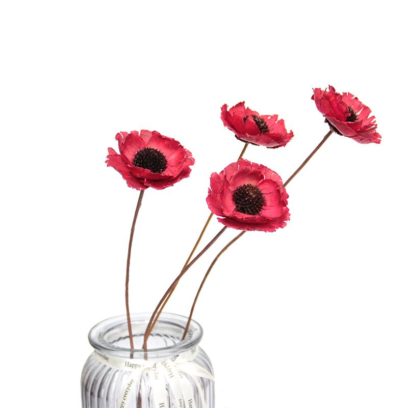 DIY Poppy Dried Flowers Cozy Home Ornament Decorative Dried Flower Bouquet