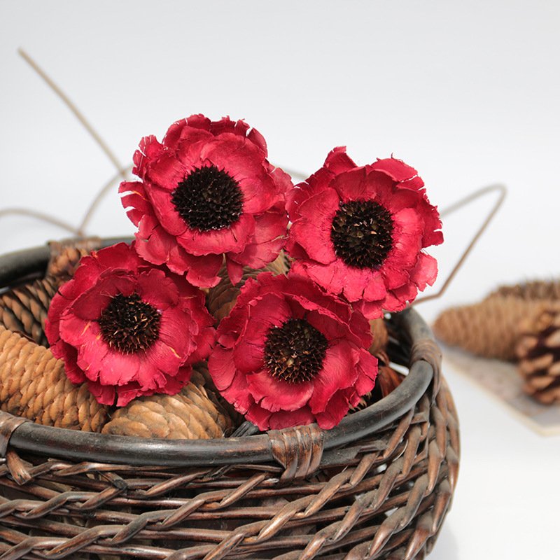 DIY Poppy Dried Flowers Cozy Home Ornament Decorative Dried Flower Bouquet