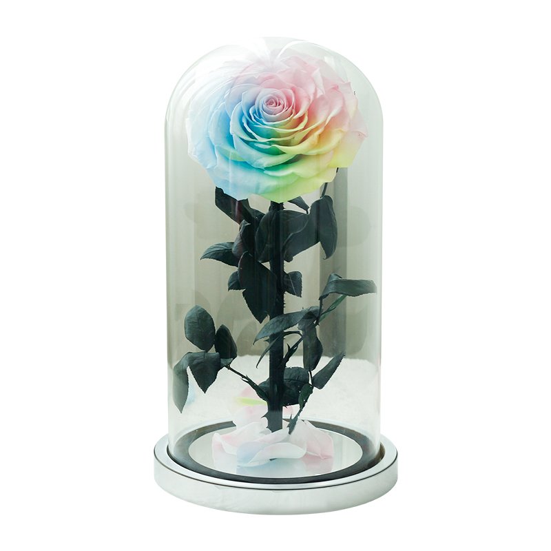 Glass cover rose Christmas gift little prince eternal flower finished birthday gift dried preserved flower
