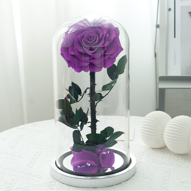 Glass cover rose Christmas gift little prince eternal flower finished birthday gift dried preserved flower