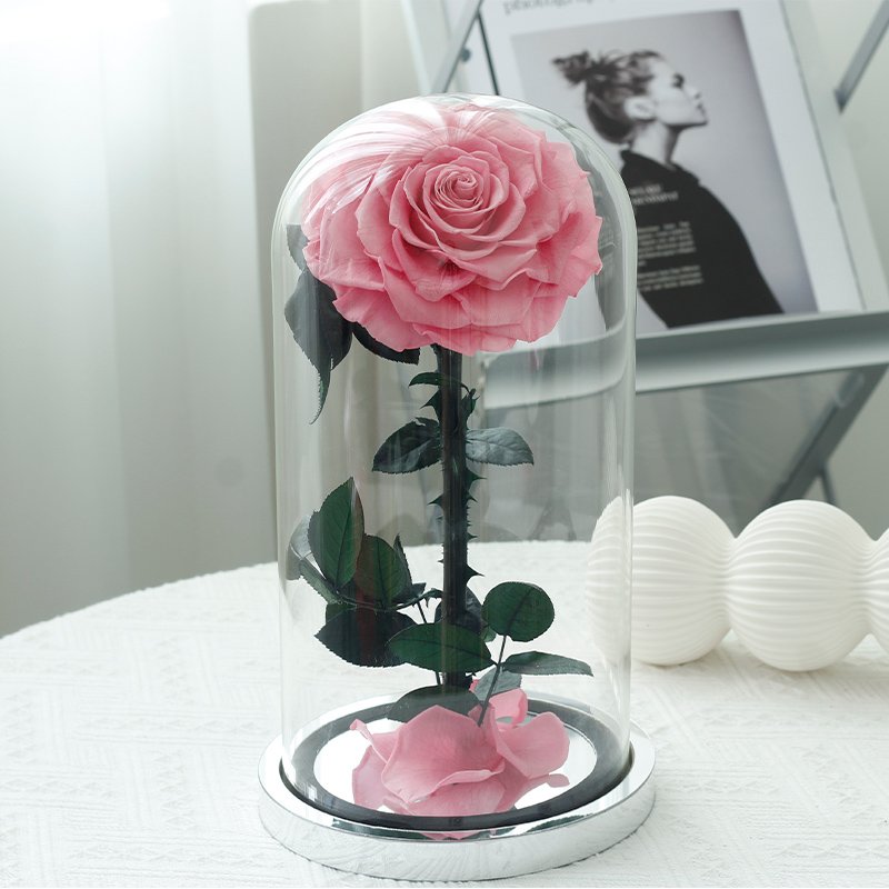 Glass cover rose Christmas gift little prince eternal flower finished birthday gift dried preserved flower