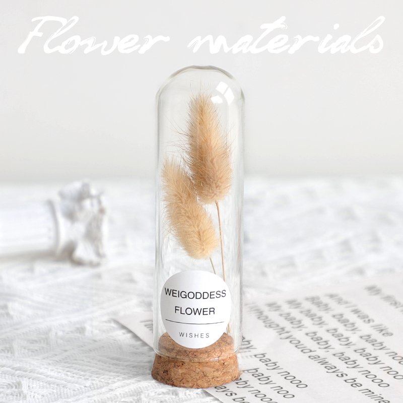 Lovely dried flower in glass tube simple gift for office desk decoration