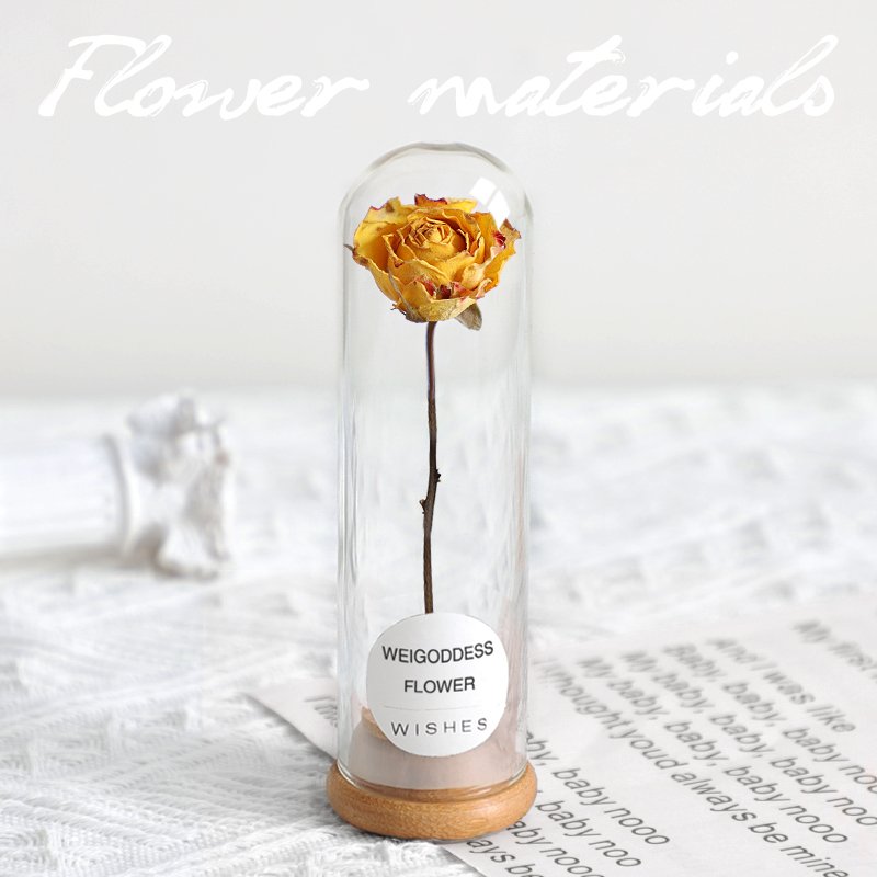Lovely dried flower in glass tube simple gift for office desk decoration