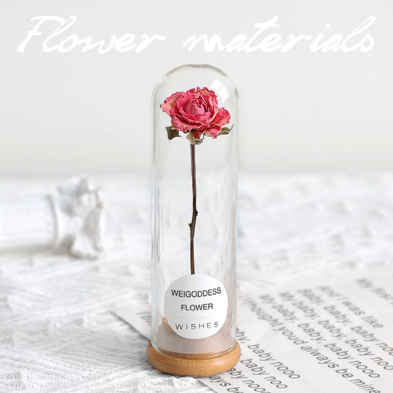 Lovely dried flower in glass tube simple gift for office desk decoration