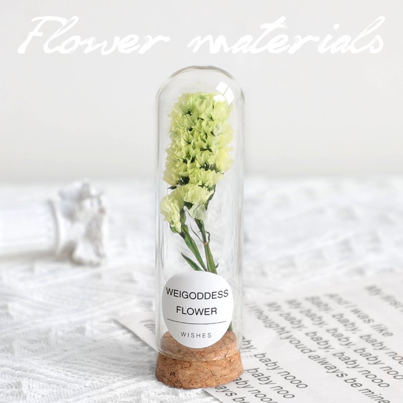 Lovely dried flower in glass tube simple gift for office desk decoration