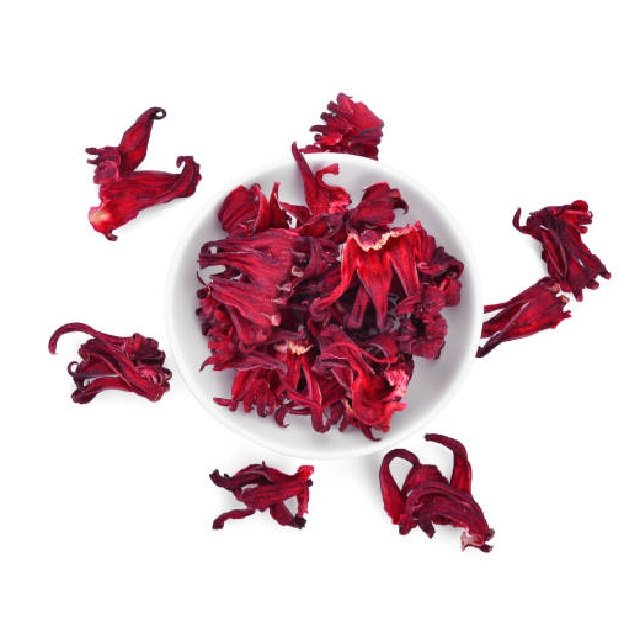 Tropical Hibiscus Bliss Paradise Radiance Crimson Hibiscus Charm Exotic Dreamscape Vibrant Hibiscus
