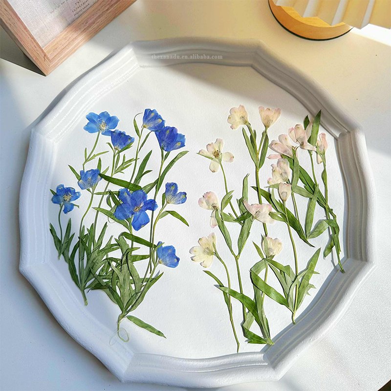 Delphinium Consolida Pink Blue Dried Niche Beautiful Pressed Flower for Nail Art Bookmark DIY Resin Phone Case 1 Bag 10 PCs