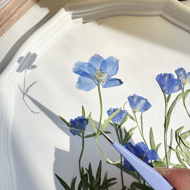 Delphinium Consolida Pink Blue Dried Niche Beautiful Pressed Flower for Nail Art Bookmark DIY Resin Phone Case 1 Bag 10 PCs