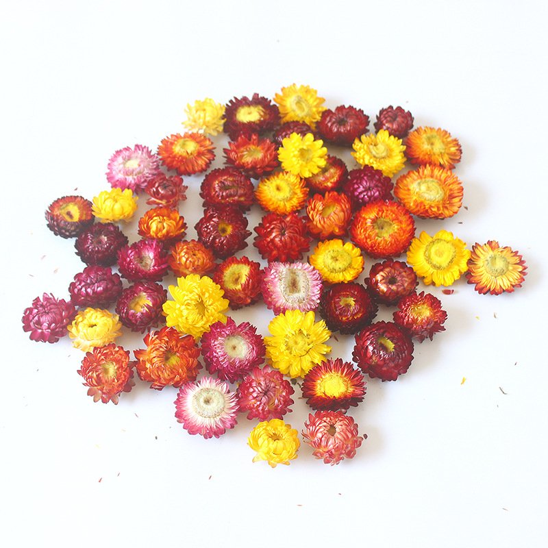 wholesale strawflower dry daisy flower head mix colour materials natural dried flowers for candle making