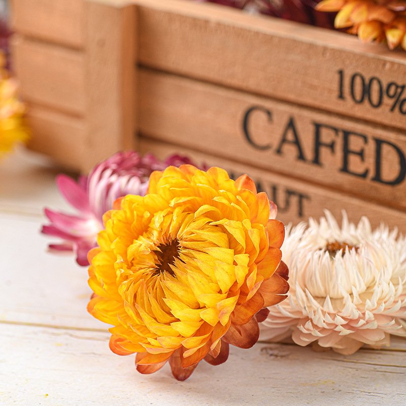 wholesale strawflower dry daisy flower head mix colour materials natural dried flowers for candle making