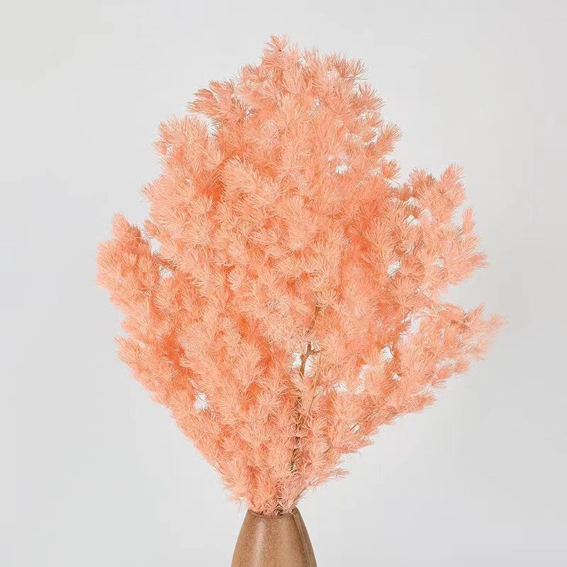 2024 sells well home decoration preserved ming fern used Valentine's Day and Wedding decoration
