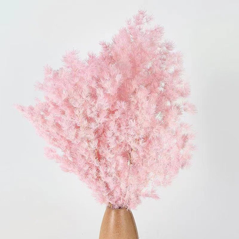 2024 sells well home decoration preserved ming fern used Valentine's Day and Wedding decoration