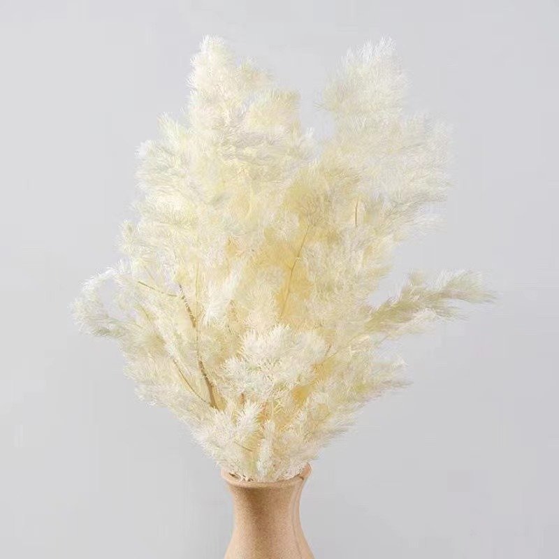 2024 sells well home decoration preserved ming fern used Valentine's Day and Wedding decoration