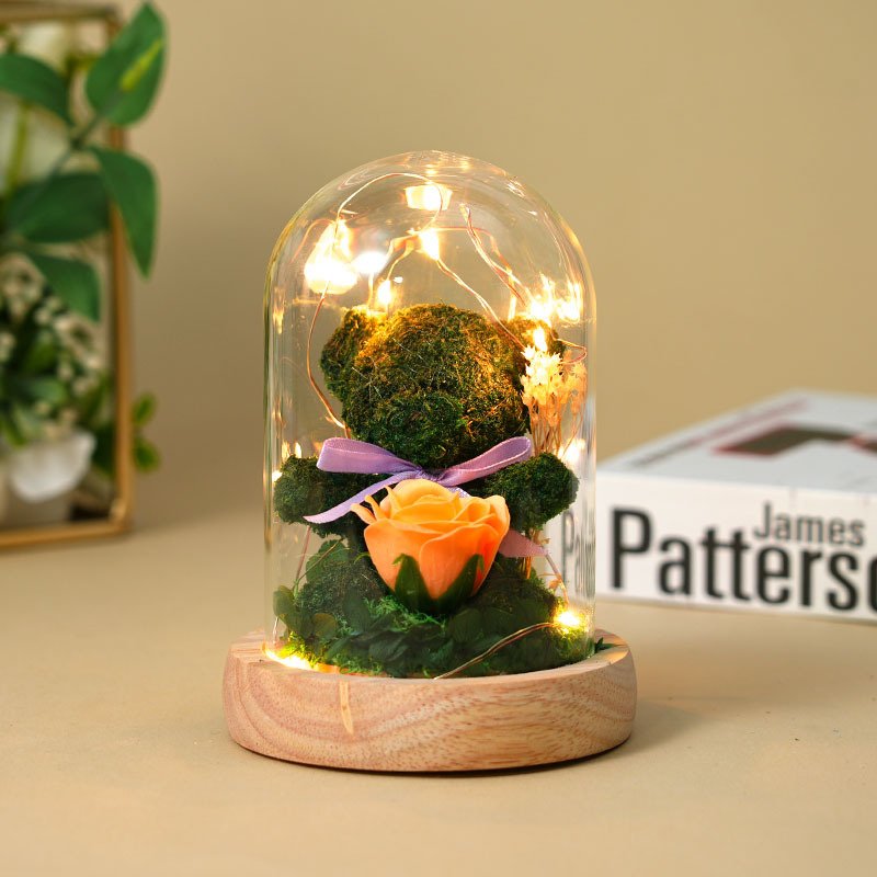 Creative Valentines Day Gift LED lights Moss Bear Rose Dried Bouquet Eternal Life Flower Glass Cover Gift Box