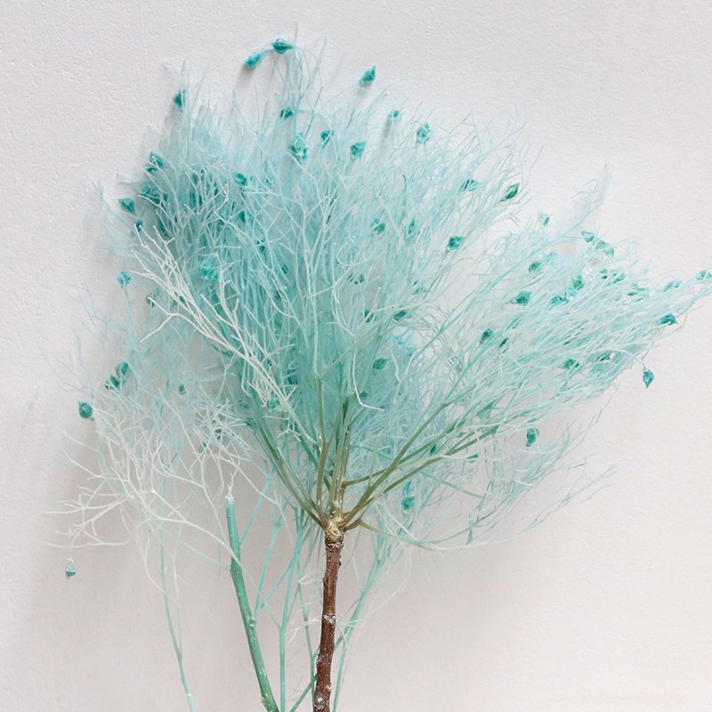 GH-077 hot sale dried grass real natural stabilized eternal preserved Dream Grass for wedding decor