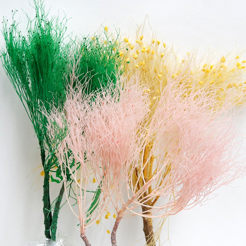 GH-077 hot sale dried grass real natural stabilized eternal preserved Dream Grass for wedding decor