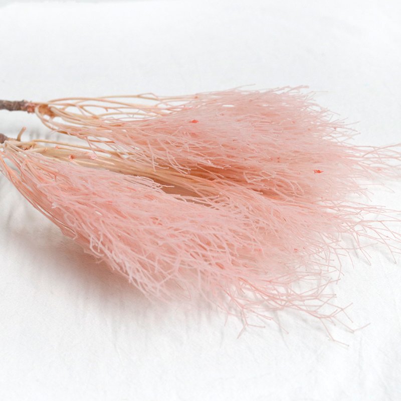 GH-077 hot sale dried grass real natural stabilized eternal preserved Dream Grass for wedding decor