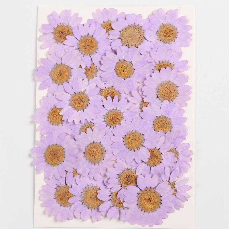 Dried Flowers And Plants Dry Flower Bouquet Preserved Hydrangea Dried Flowers Manufacture Supply