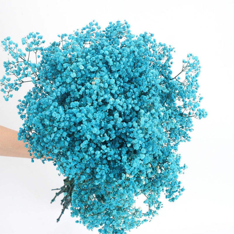 Multiple Color Real Flower Gypsophila Preserved Baby's Breath Garland Flower Dried Babys Breath for Wedding Home Decoration