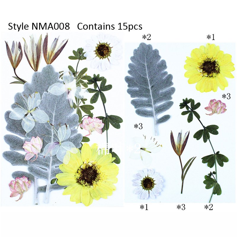 Wholesale New Style Pressed Dry Flowers Natural Mixed Random Dried Pressed Flower For DIY Epoxy Resin Craft Nail Art Materials