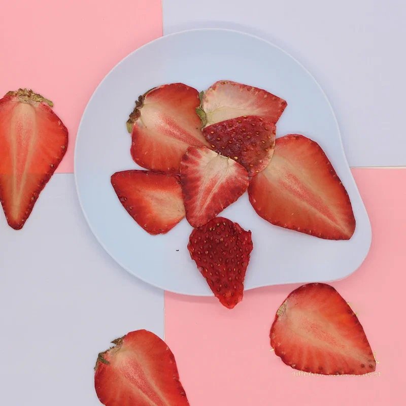Natural DIY Material Pressed Fruit Piece Blueberries Dried Fruits Apple Orange For Resin Phone Case Handmade Kids DIY Material