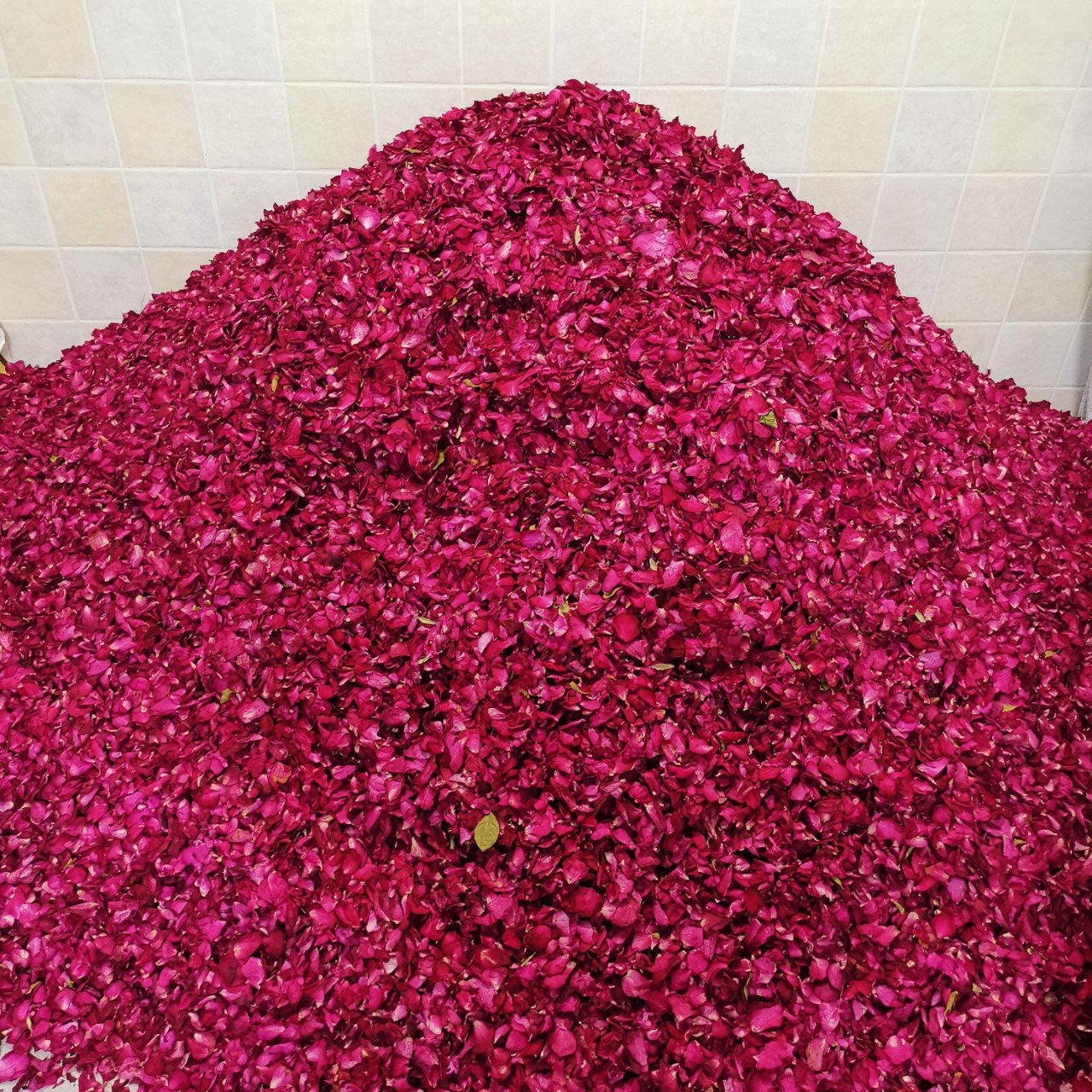 Wedding Confetti Real Dried Flower Confetti Natural Biodegradable Rose Petals Wedding Home Decoration Petals