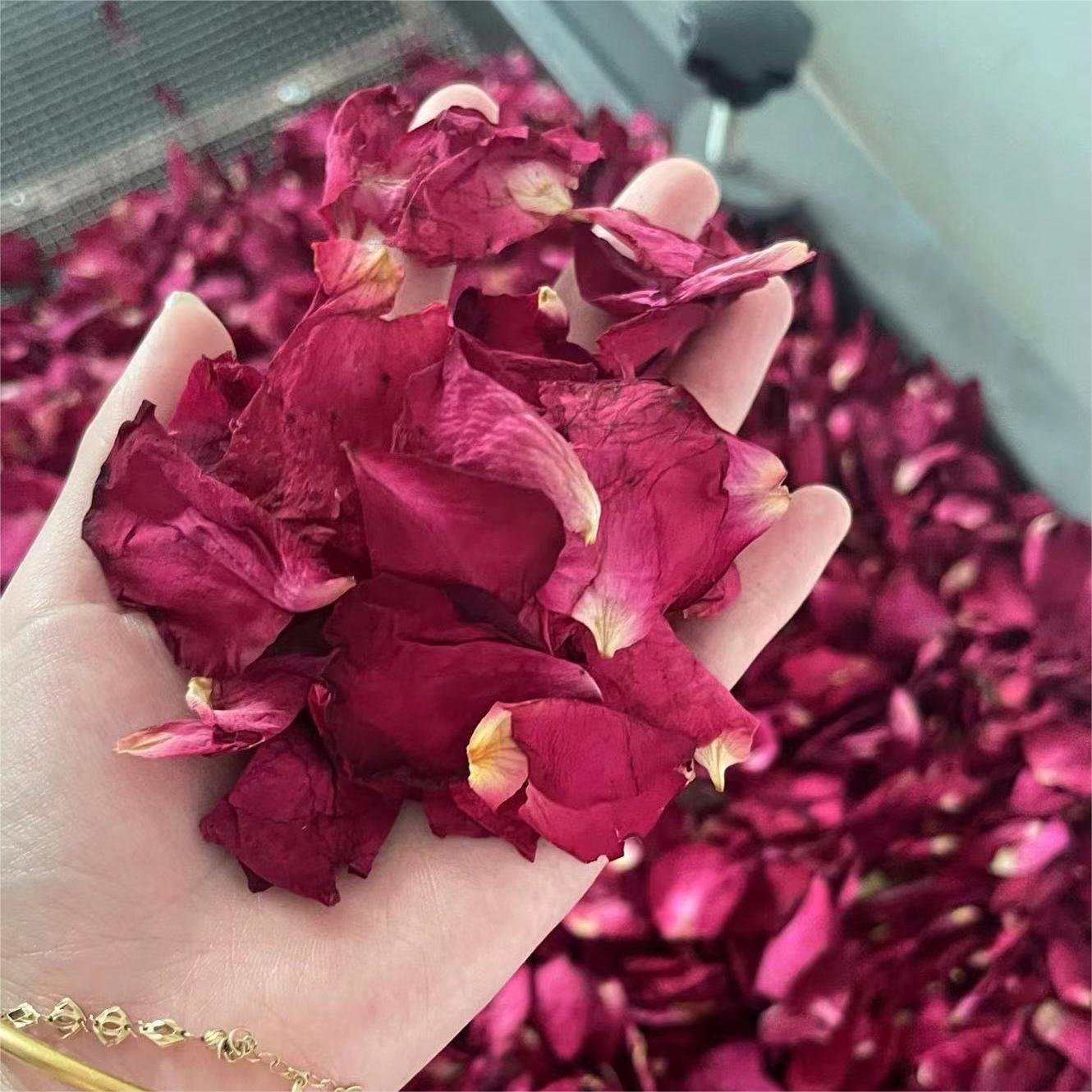 Wedding Confetti Real Dried Flower Confetti Natural Biodegradable Rose Petals Wedding Home Decoration Petals