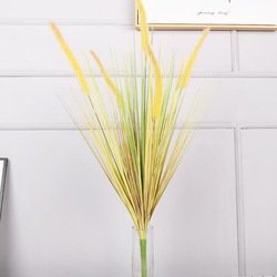 Yellow-2