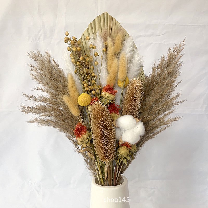 Natural Flower Reed Grass Flower Arrangement Dried Flowers Plant Bouquet Decoration